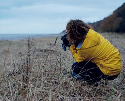 photographing-seedheadweb