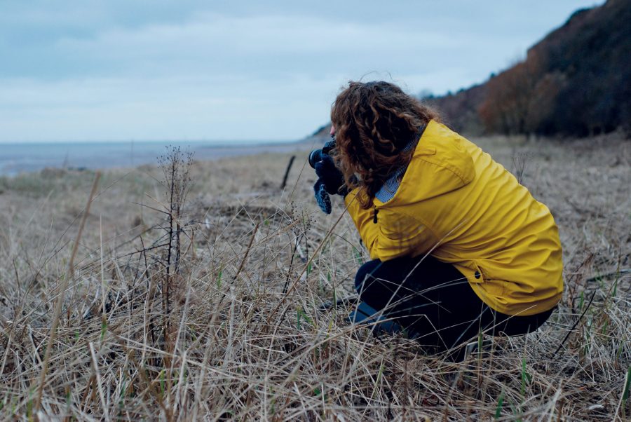 photographing-seedheadweb