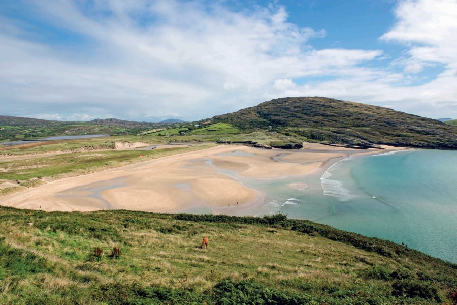 web-mizen-head-credit-arthur-ward