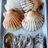Rick Stein’s Padstow Seafood School