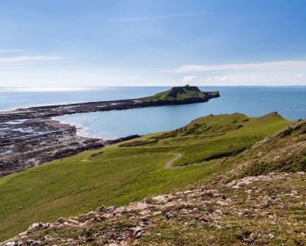 worms_head_shutterstock_197743523