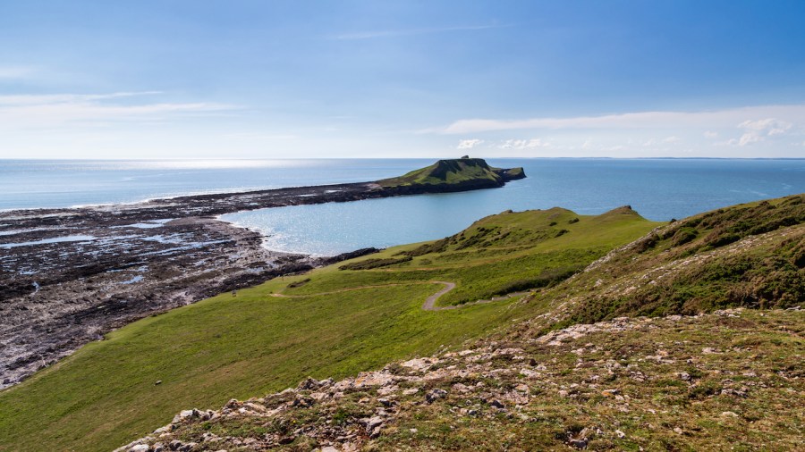 worms_head_shutterstock_197743523