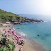 Gara Rock Holiday Cottages, Devon
