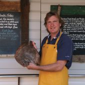 The Fish Shed, Topsham, Devon 