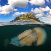 Underwater Photographer of the Year 2015