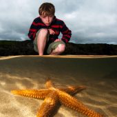 Underwater Photographer of the Year 2015