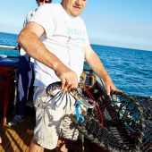 Mackerel fishing with Mark Hix. Photographs: Paul Ryan-Goff