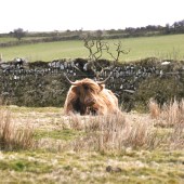 Weekend in…Poldark country