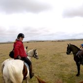 Weekend in…Poldark country