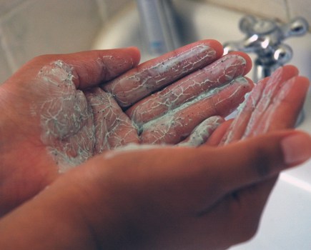 hands_with_scrub_-_credit_r_ingle_ffi