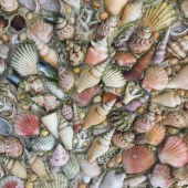 Shell mosaic in Tresco Abbey Gardens  Photo: Alex Fisher 