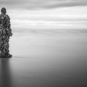 'Looking Out To Sea', Crosby Beach, Merseyside. Photograph by Adrian Fretwell.