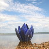 'Lotus"  Photo David Bird 