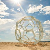 Buckyball  Photo David Bird
