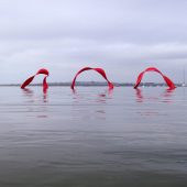 'Wave' in Mudeford Bay   Photo David Bird 