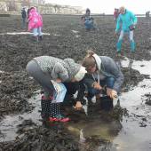 Coast readers cleaning the beach  Photo Alex Fisher