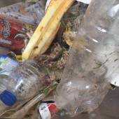 One of the many bags of rubbish we picked up   Photo Alex Fisher