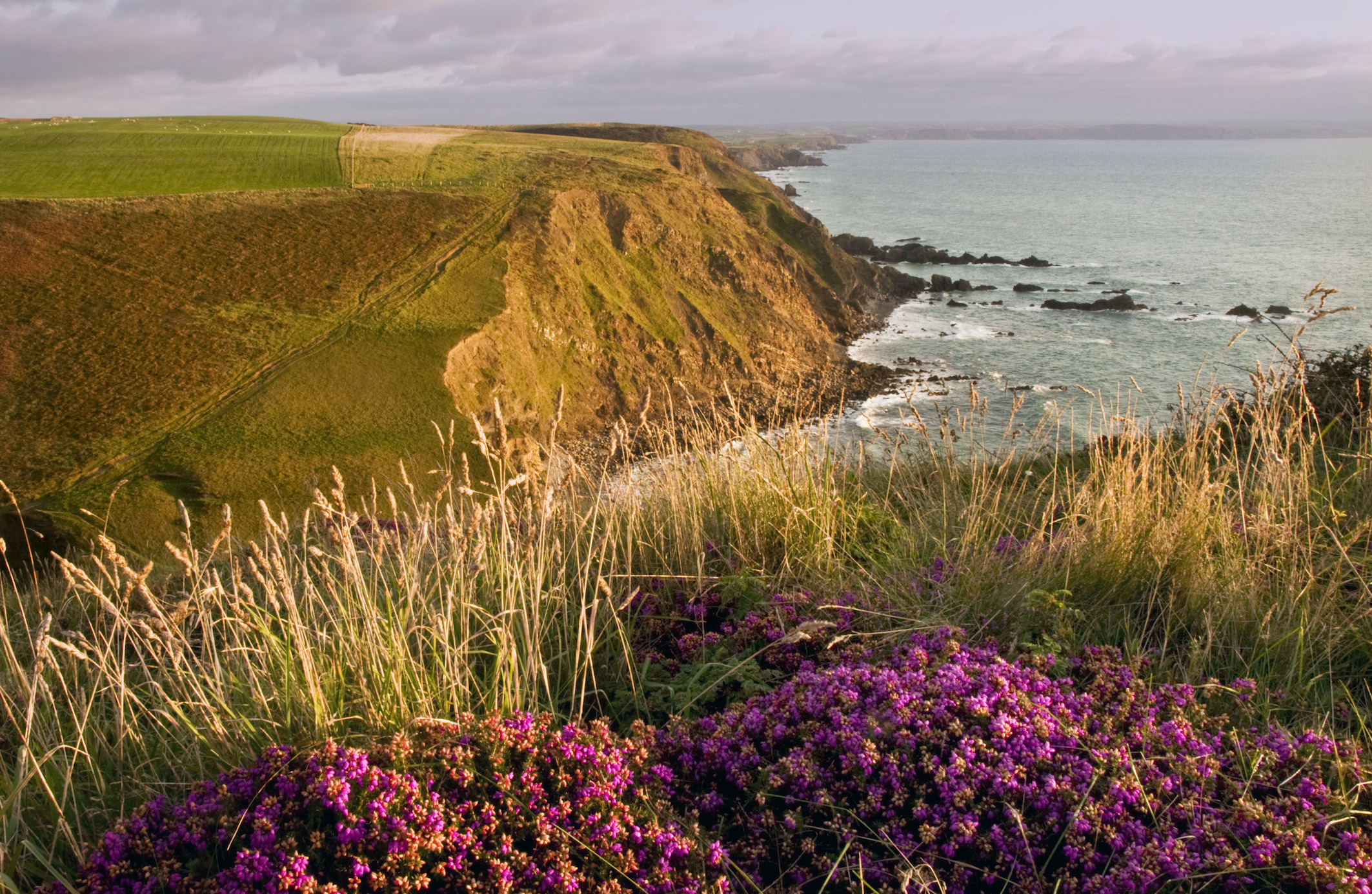 Top 5 Coastal Winter Walks - Coast Magazine