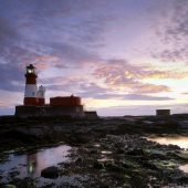 3. FOR SEABIRD ENCOUNTERS Farne Islands, Northumberland