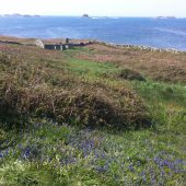 5. FOR A BIT OF EVERYTHING Samson, Isles of Scilly
