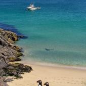 8. FOR A SECRET BEACH Mingulay, Berneray and Pabbay, Outer Hebrides