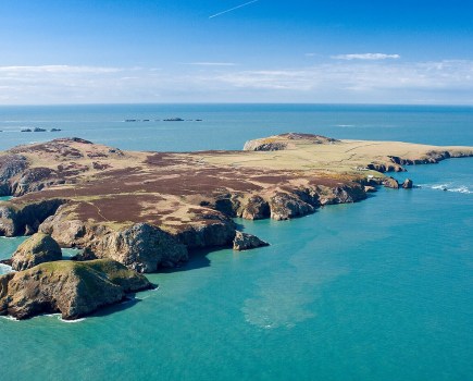 ramsey_island_c_crown_copyright_2_visit_wales