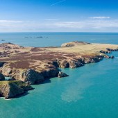 1. FOR CLIFFS & CHOUGHS Ramsey Island, Pembrokeshire