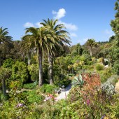 Tresco's Abbey Gardens
