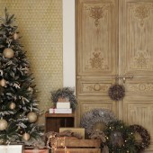 coast_xmas_opener_103