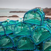 Lobster creels on the Isle of Mull. Photo by Sam Jones