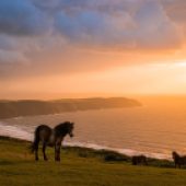 Potters Hill and Woolacombe Bay Photo: National Trust