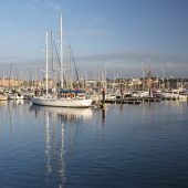 Bangor Marina