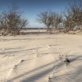 Culbin Sands, Forest and Findhorn Bay Site of Special Scientific Interest (SSSI), Scotland