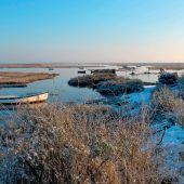 1. FOR SEA SWIMS & OYSTERS The White Horse, Brancaster Staithe, Norfolk