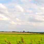 _dsc8584