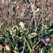 img0014_web