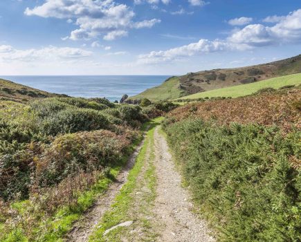 nordic_walking_devon1_soar_mill_cove_credit_blue_chip_holidays_web