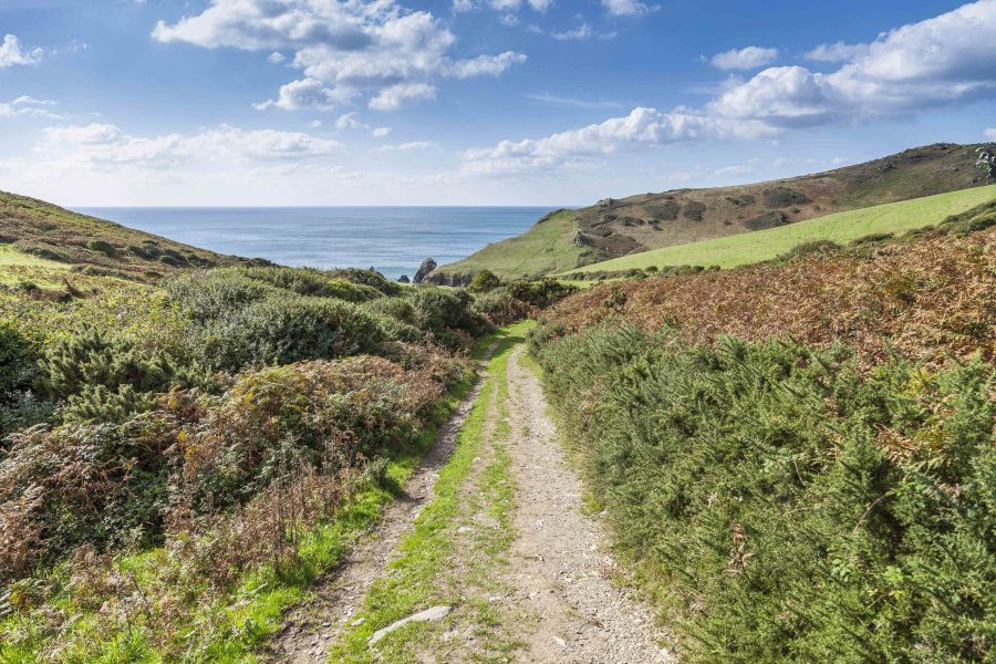 nordic_walking_devon1_soar_mill_cove_credit_blue_chip_holidays_web