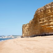 shutterstock_146961353