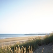 gallivant_l1000593