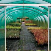 nurserygarden_centre2_web