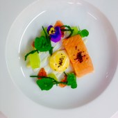 starter_3