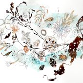 julia_mckenzie_botany_bay_drawing_web