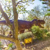 trex_2