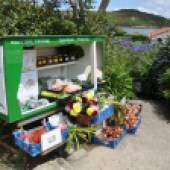 stall, honesty box, local, honey, fruit, vegetables