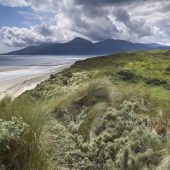 Murlough, beach, Newcastle, County Down