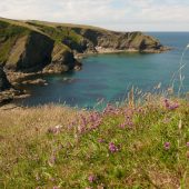 heather, coast, walk, holiday, tour