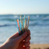 beach, rubbish, MSC, coast