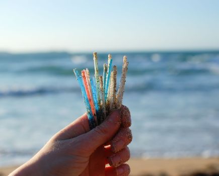 cotton_bud_sticks_credit_natasha_ewins_2