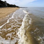 beach, clean, litter, save, planet, eco, nature, sea